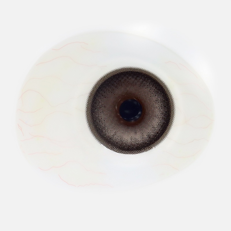 Uniieye Coco brown Colored Contact Lenses | 1 Year